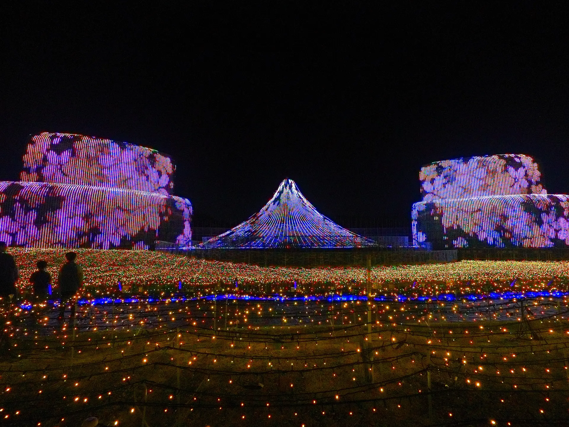 なばなの里イルミネーション2025