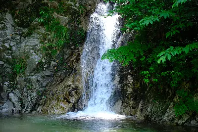 Nordisk Hygge Circles UGAKEI（1）