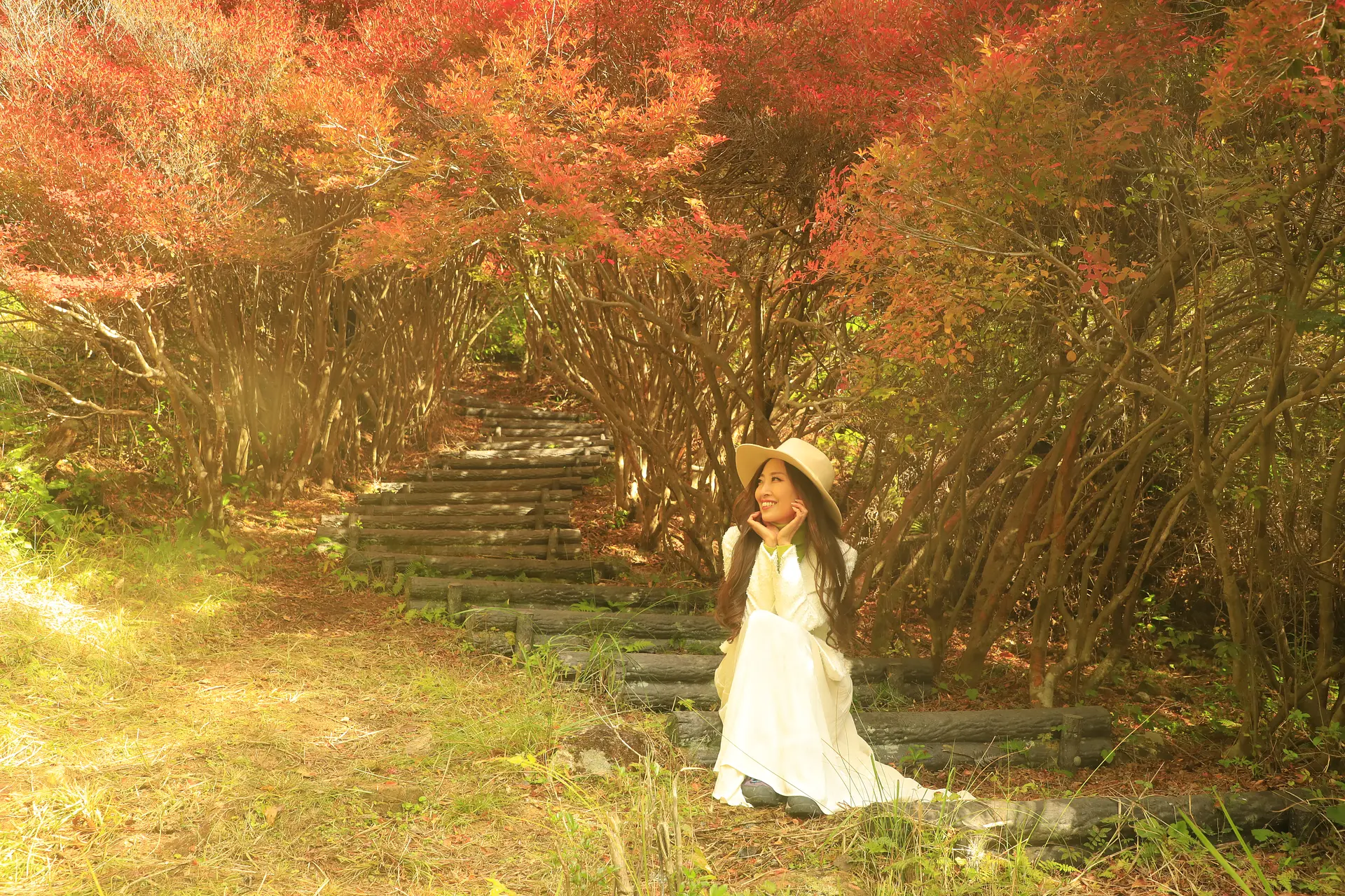 丸山公園ドウダンツツジのトンネルとは