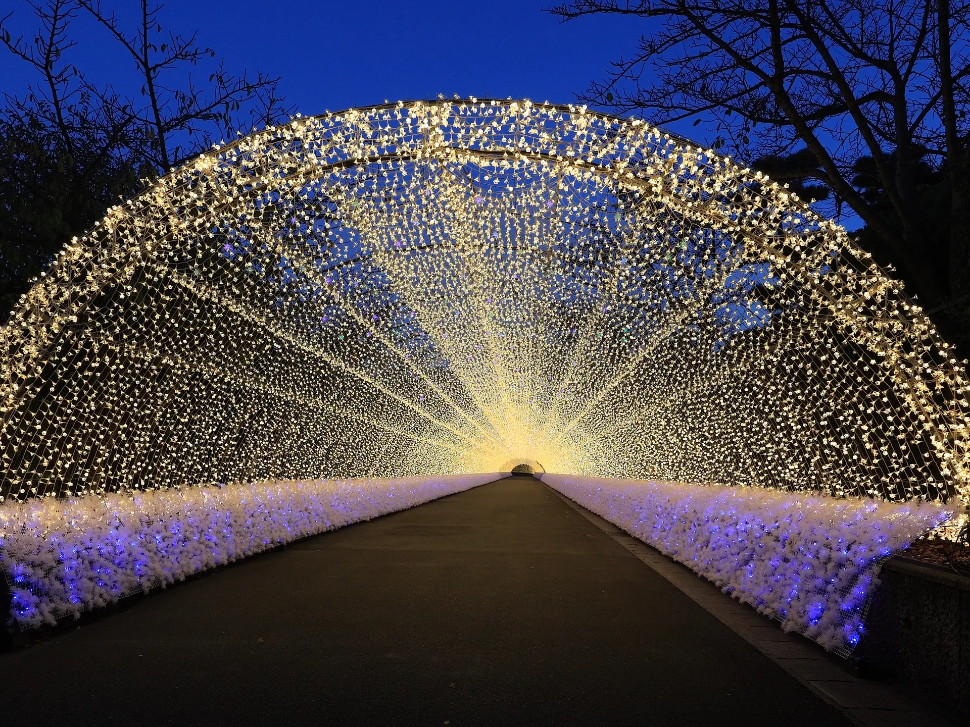 なばなの里イルミネーション2025　200mの光のトンネル「華回廊」