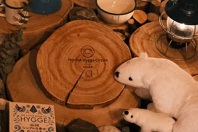 Nordisk Hygge Circles UGAKEI（3）