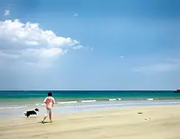 国府白浜