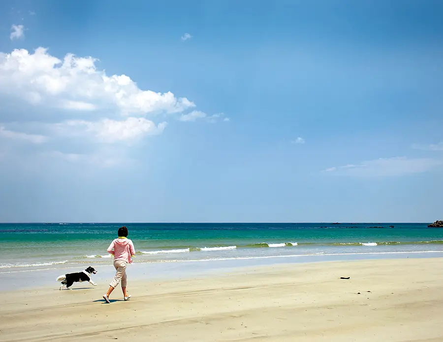 国府白浜