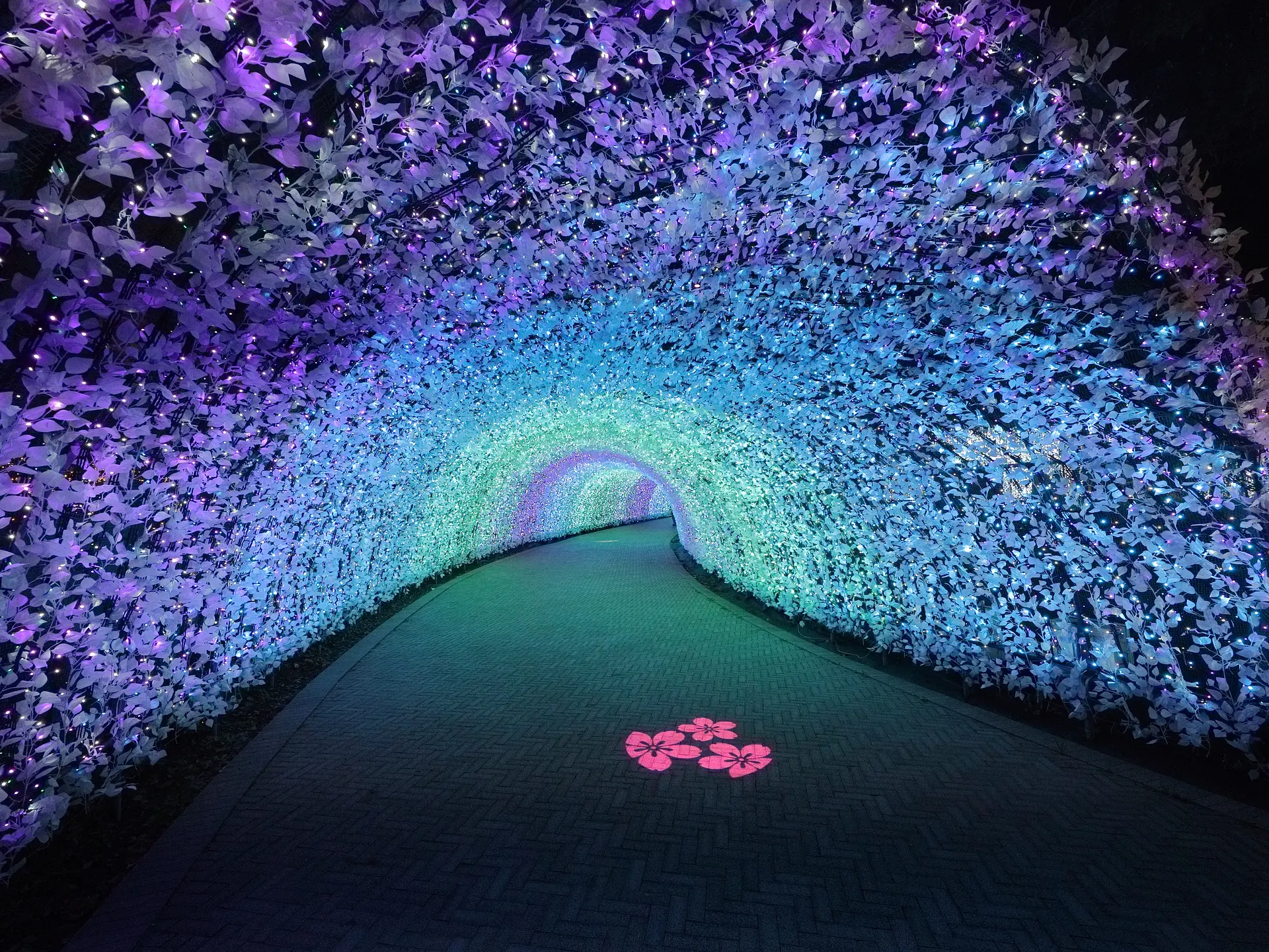 なばなの里イルミネーション2025　100mの光のトンネル「波（Nami）