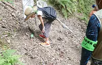 森のいきもの調査隊！