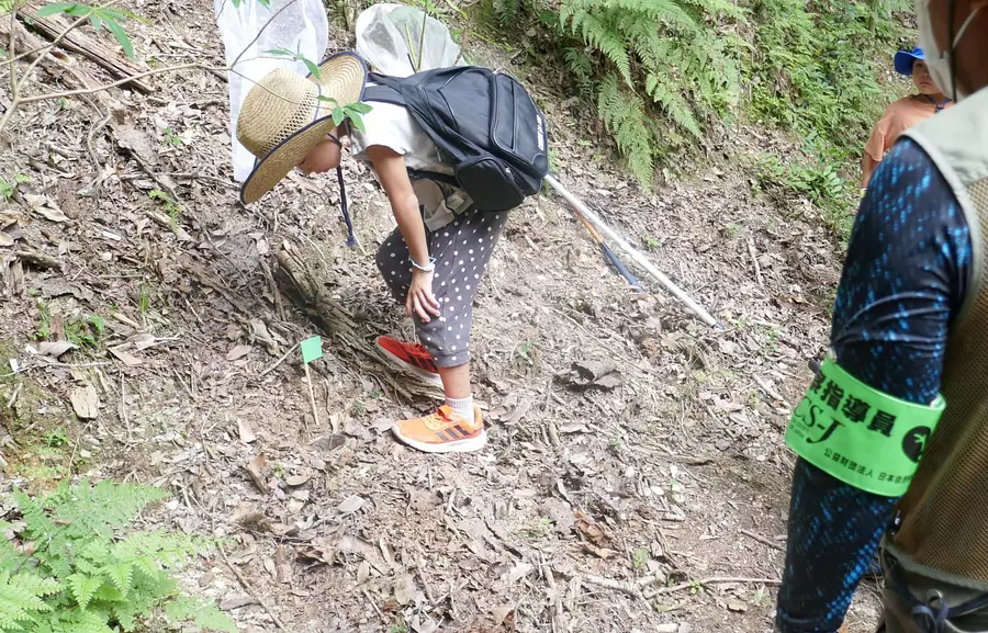 森のいきもの調査隊！