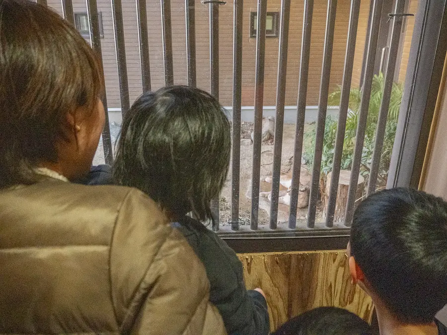 【園長のバックヤードツアー】カラカル展示場の裏側