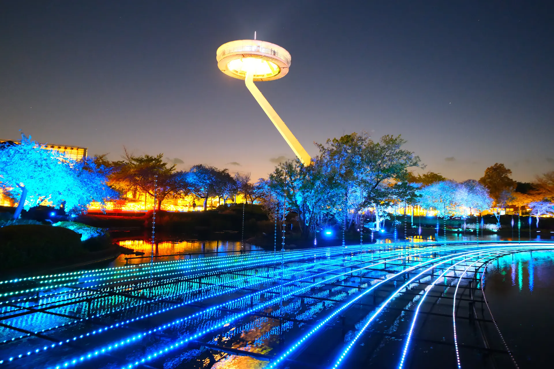 なばなの里イルミネーション2025　水上イルミネーション「光の大河」