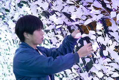 【みえの推し活】なばなの里イルミネーションの裏側へ！雨の日絶景と光のトンネルの見どころ＆混雑回避