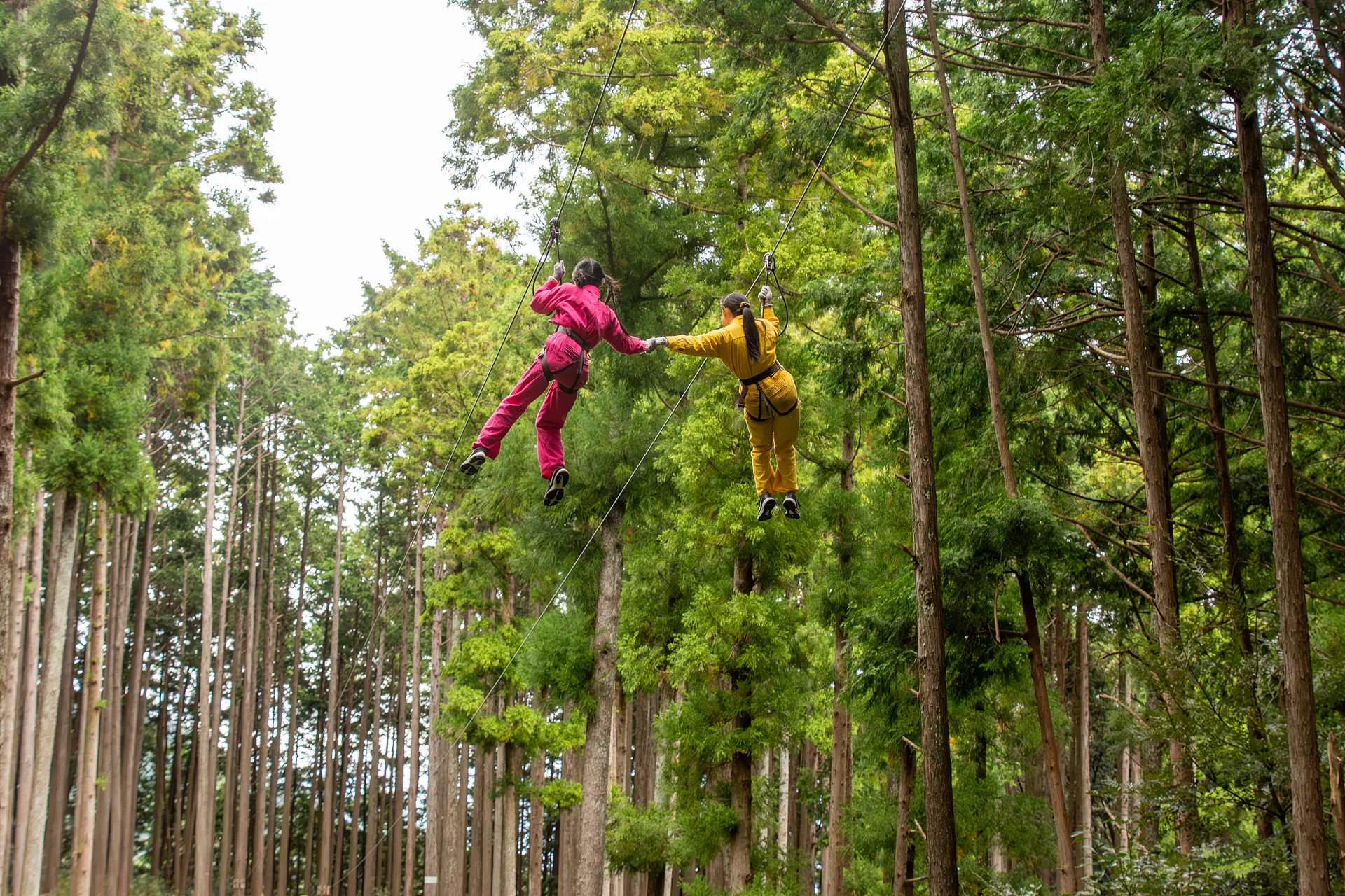 ジップトリップコース