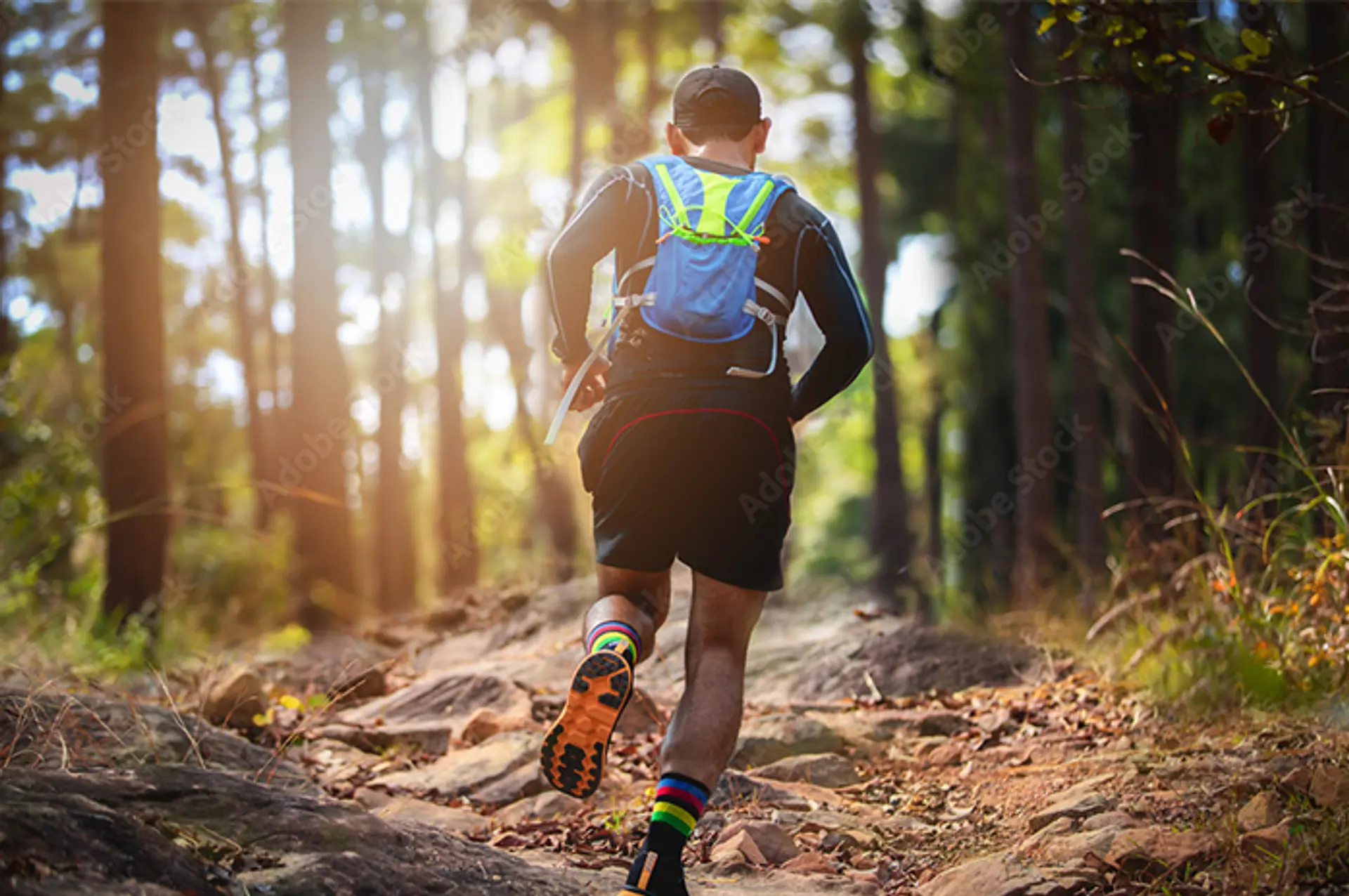 トレイルランニングをされる方への注意点