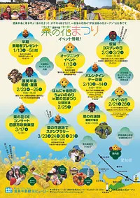 Let's take IseBayFerry to the Atsumi Peninsula Nanohana Festival! !