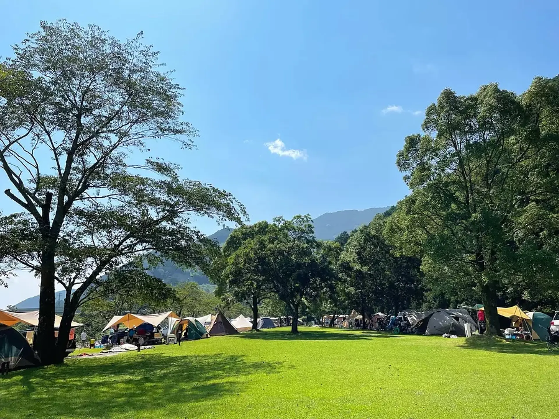 キャンプｉｎｎ海山 