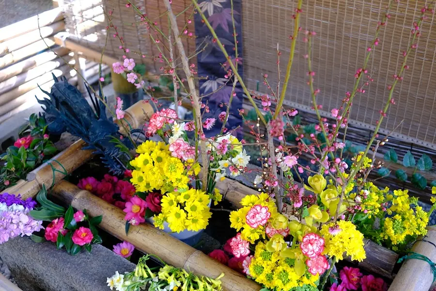 竹神社満月夜参り【2026】