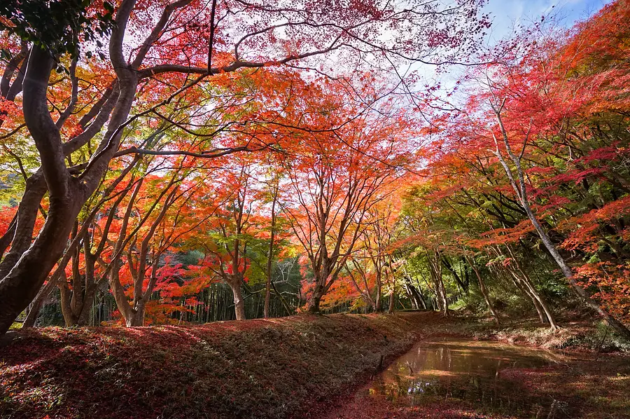 Temple Chotoku-ji