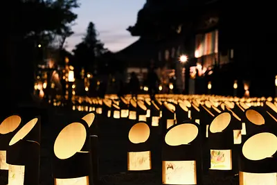 高田本山専修寺のライトアップ（5）