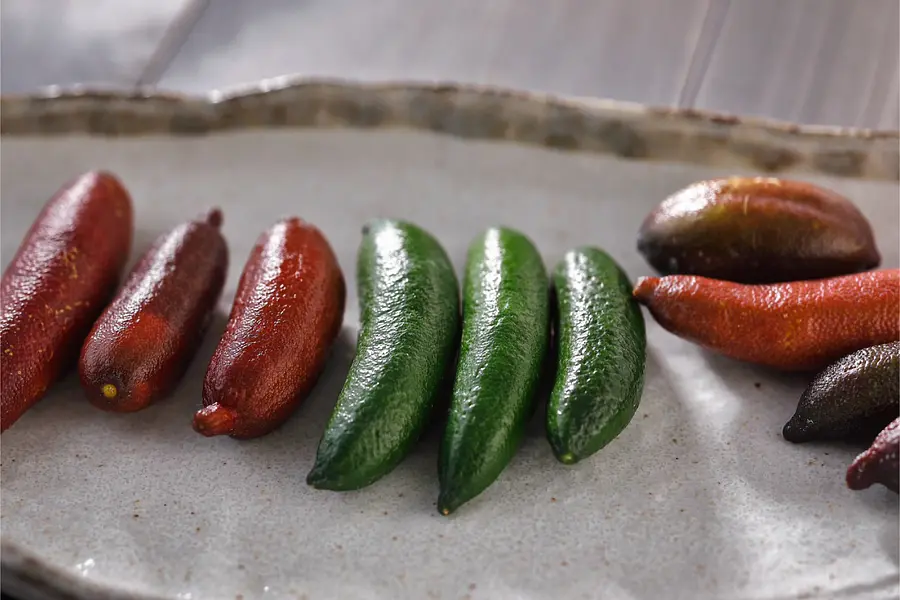 フィンガーライム 講習・苗木直売会 