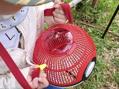 昆虫観察会　―7月 トンボ博士 刀根先生といく