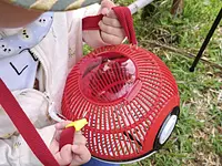 昆虫観察会　―7月 トンボ博士 刀根先生といく