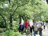 昆虫観察会　―7月 トンボ博士 刀根先生といく