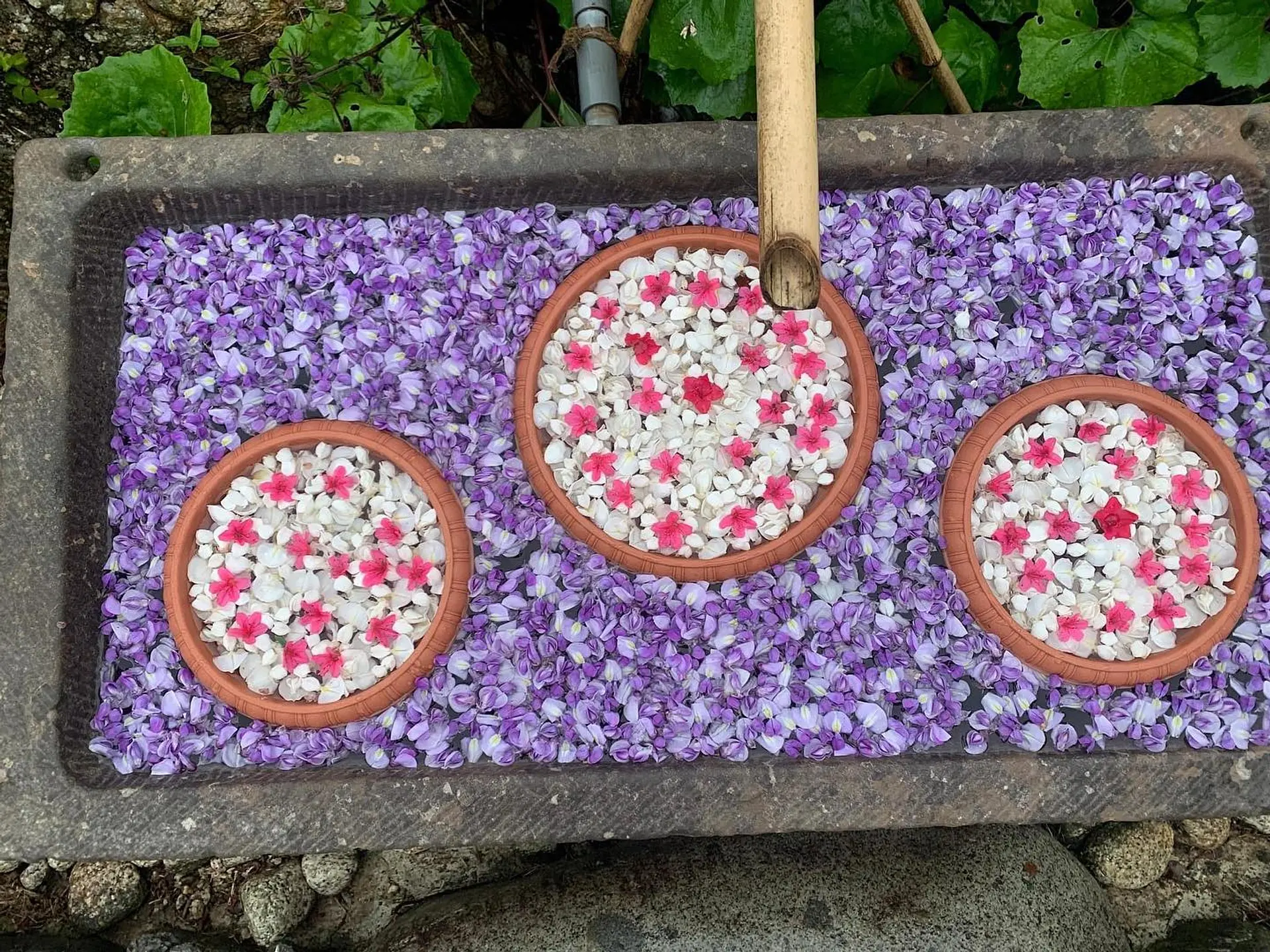 かざはやの里　花手水