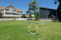 ドッグラン