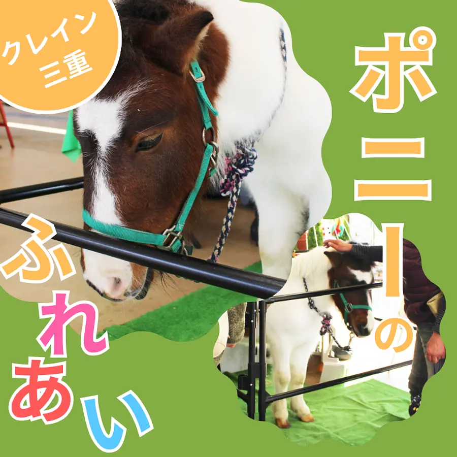 ポニーのふれあい
