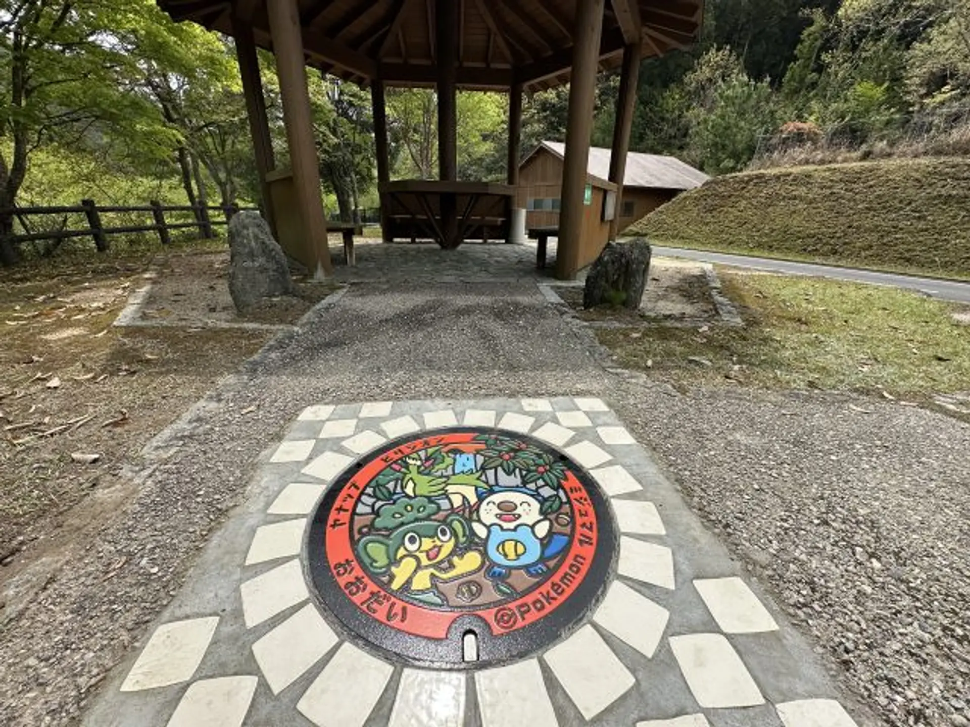 『ポケふた』とは