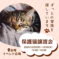 保護猫譲渡会