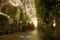 なばなの里イルミネーション
