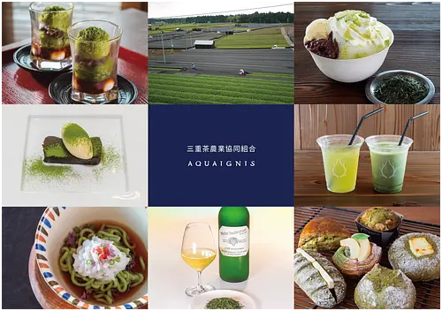【三重茶農業協同組合×アクアイグニス】ひんやり夏の水沢かぶせ茶フェア
