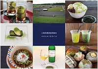 【三重茶農業協同組合×アクアイグニス】ひんやり夏の水沢かぶせ茶フェア