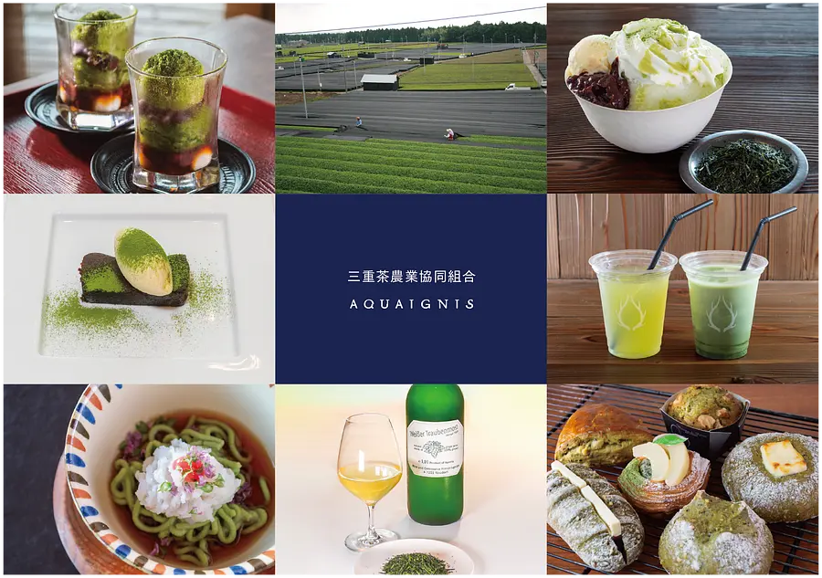【三重茶農業協同組合×アクアイグニス】ひんやり夏の水沢かぶせ茶フェア