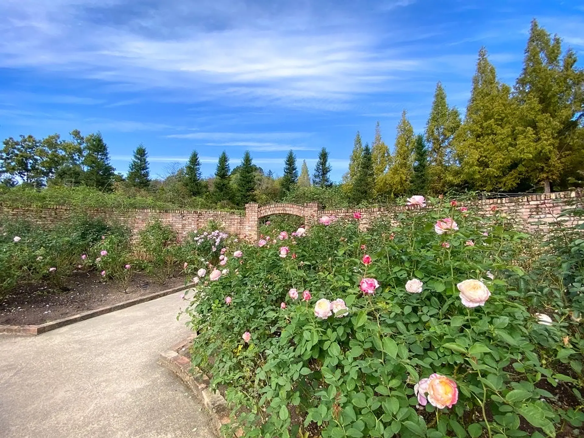 ローズガーデン