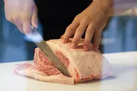 若竹（VISON）