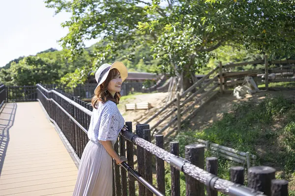 キャスターマミの画像