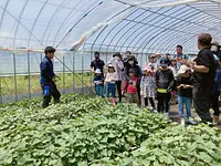 お芋づくり きわみん体験　2024年度参加者募集　申込締切5/31