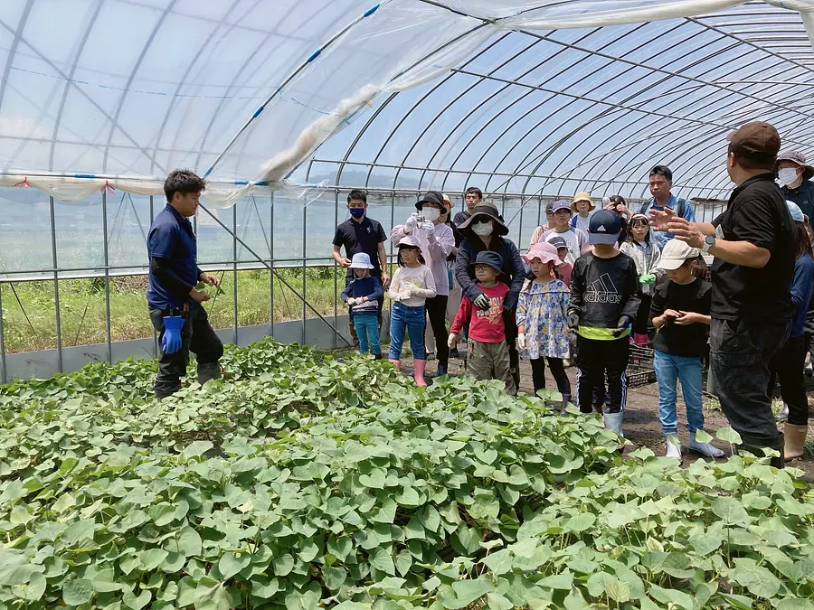 お芋づくり きわみん体験　2024年度参加者募集　申込締切5/31