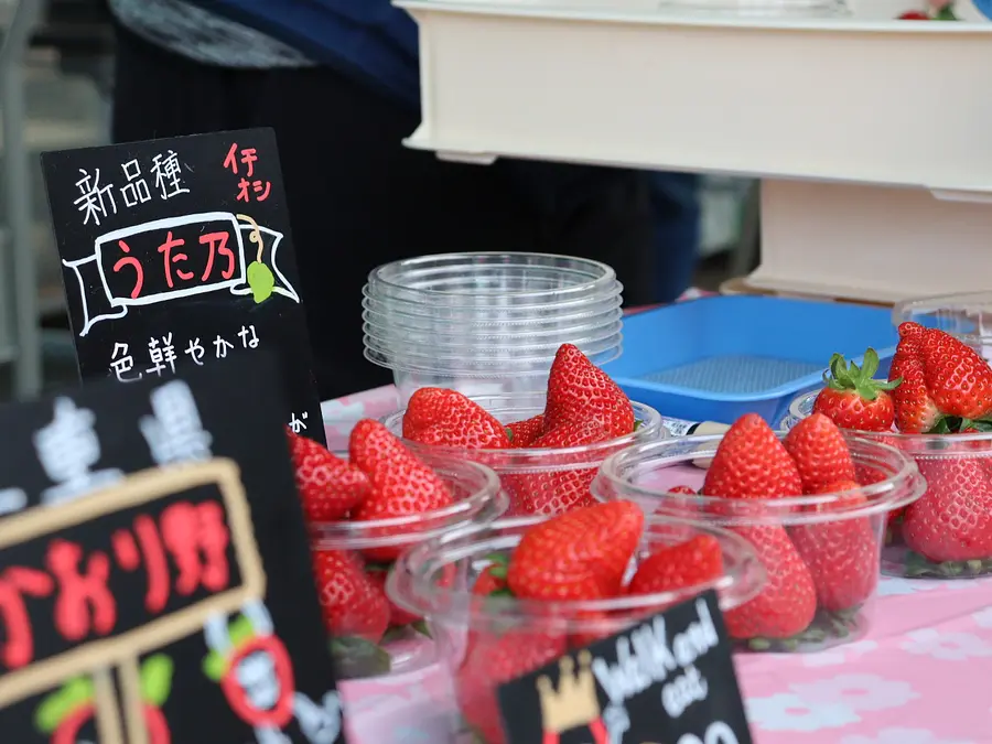 三重のいちごフェスタ