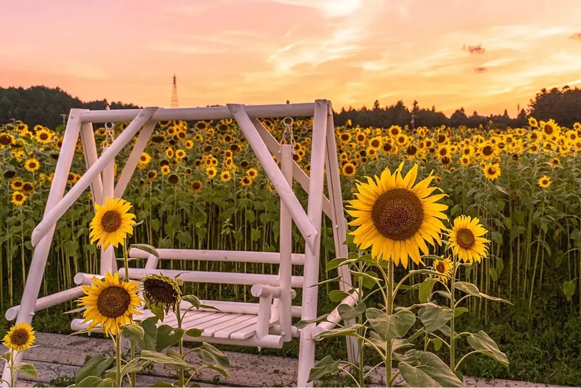 アスピア玉城　花畑のブランコ 