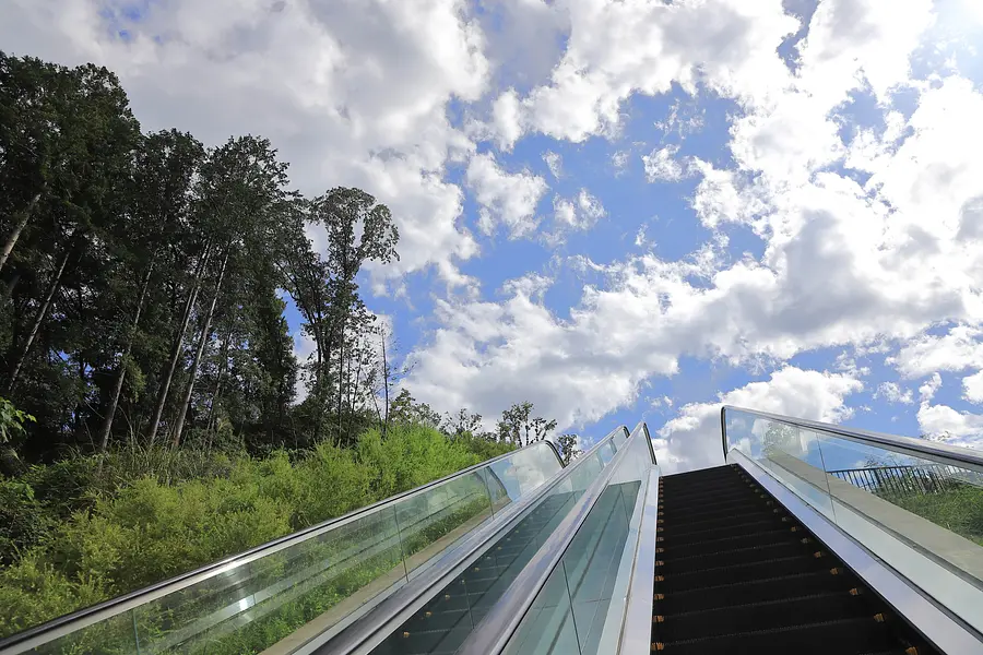 escalator