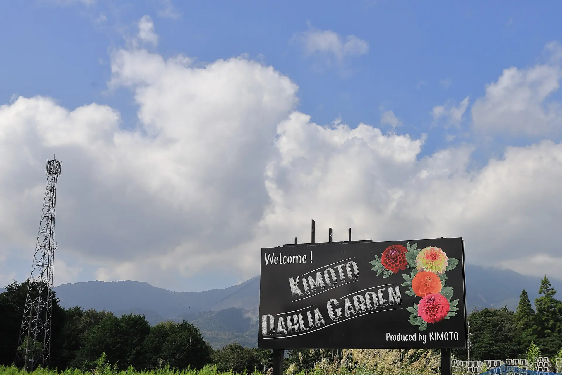 株式会社KIMOTOダリア園とは？