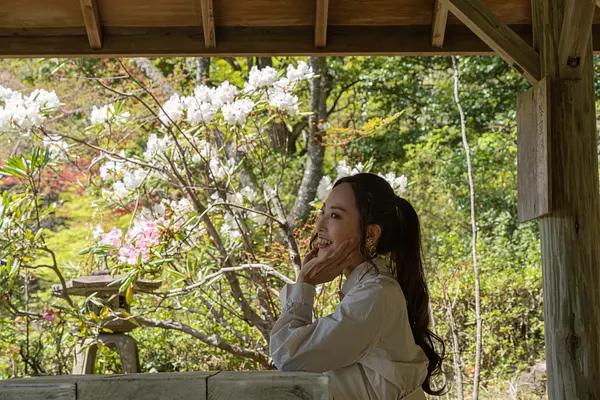 キャスターマミの画像