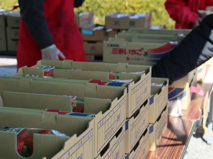 三重のいちごフェスタ