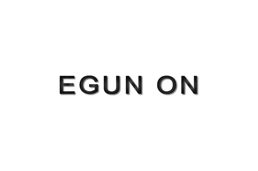 EGUN ON（VISON）