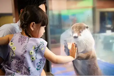 元日から遊べる！楽しめる！三重県のお正月おでかけスポットを紹介します！【2025年版】