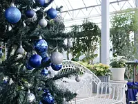 クリスマスフォトスポットができました!