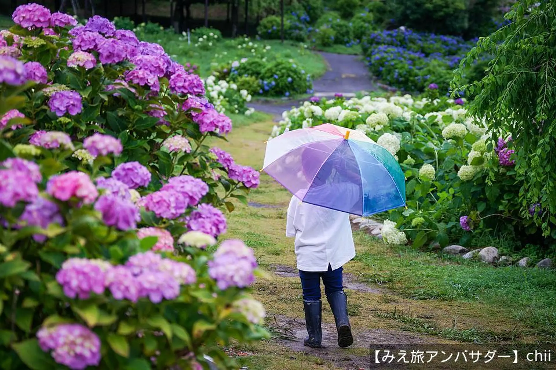 雨の日の園内
