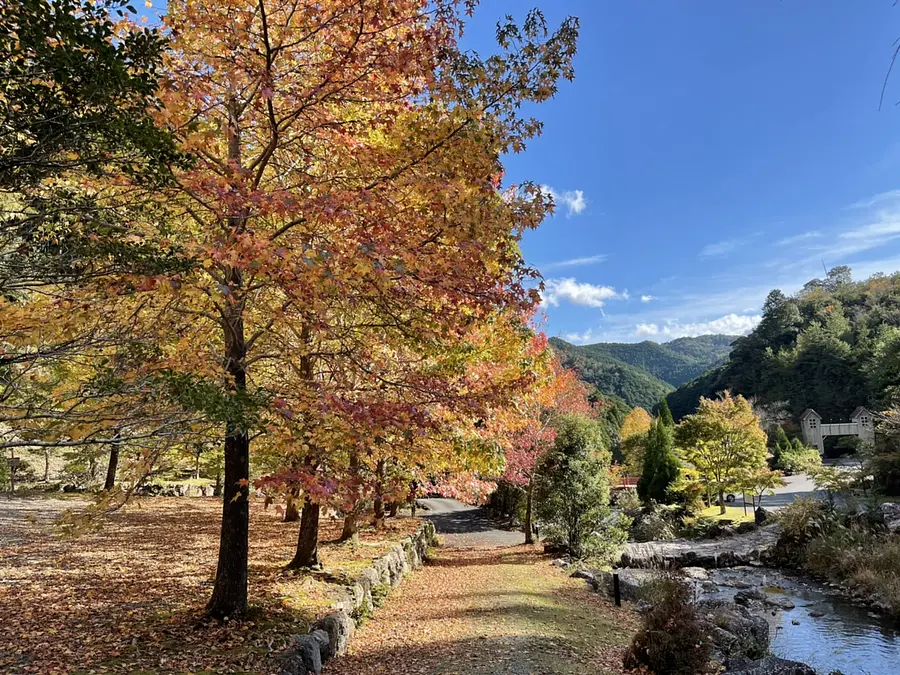 Hojas de otoño en el valle de Kasagi