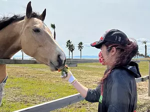 [Interacting experience for adults] Seaside horse farm experience 2 DAYS